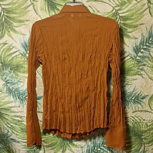 Chic Rust Ruffle Front Blouse - Picture 5 of 6